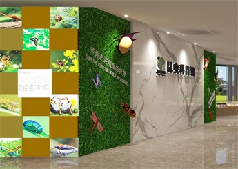 昆蟲科普館裝修設(shè)計(jì)案例效果圖